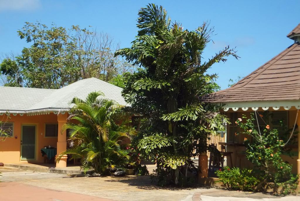 Pimento Lodge Resort Port Antonio Eksteriør billede