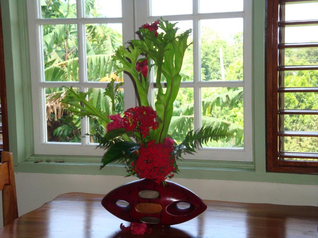 Pimento Lodge Resort Port Antonio Værelse billede