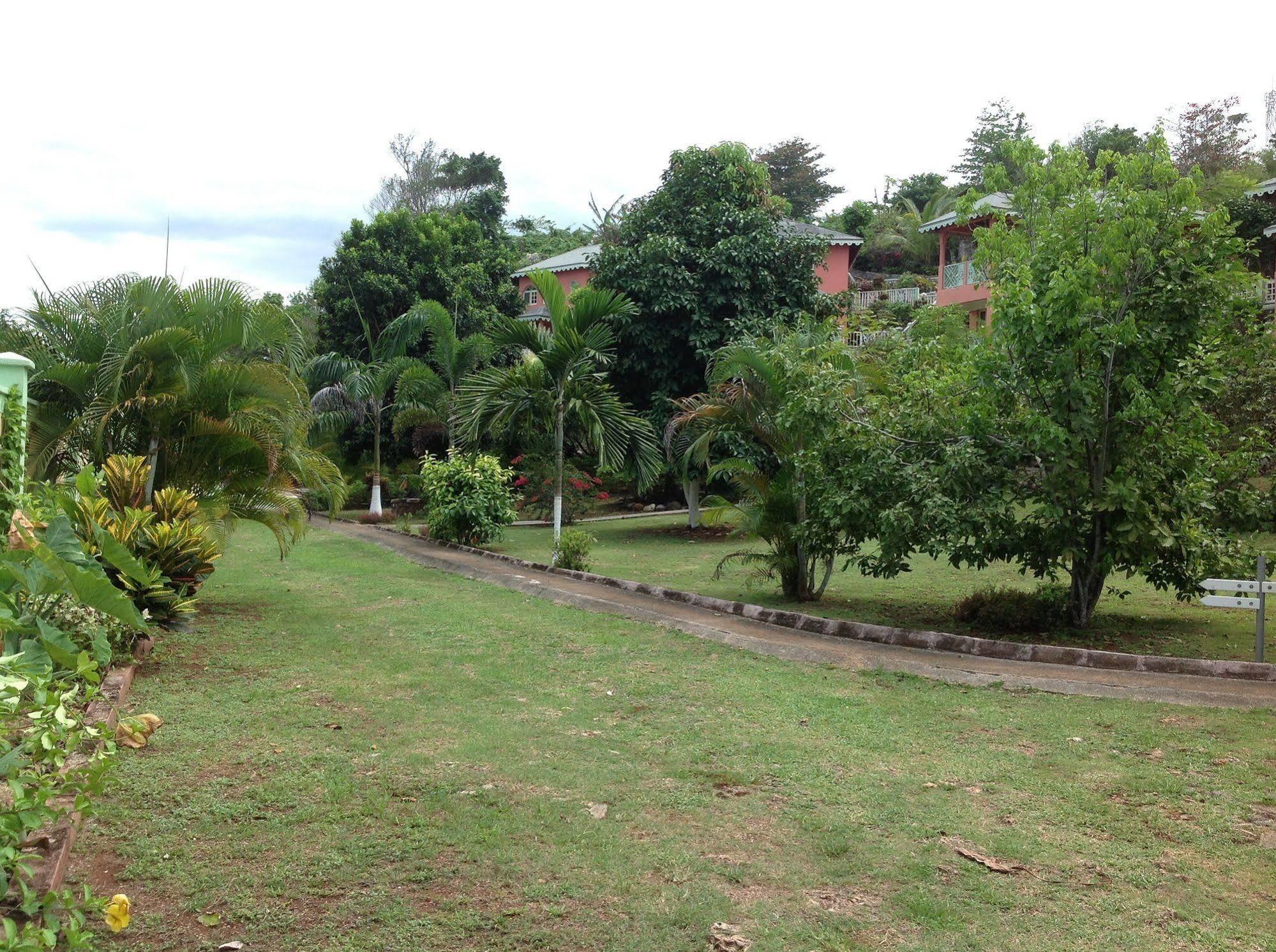 Pimento Lodge Resort Port Antonio Eksteriør billede
